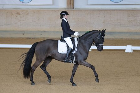 Katharina Kraft und Finess Royal dürfen nach Kronberg fahren. | © Dill