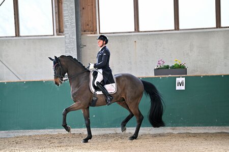 Zum Sieg passagiert: Rudolf Widmann und Prinz Romantic OLD | © Kai Dill