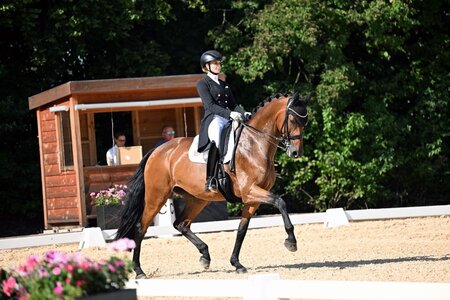 Jessica von Bredow-Werndl und Times Kismet feierten in Ornago eine gelungene internationale Premiere. | © Dill (Archiv)