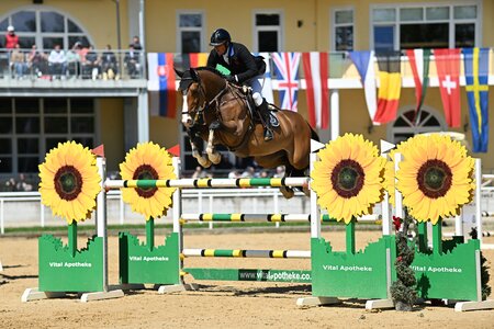 Das Pferdezentrum Stadl-Paura lockt 2026 mit einem umfangreichen Programm. | © Team Myrtill (frei)