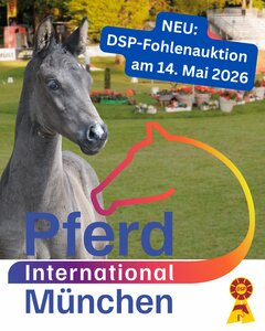  DSP-Fohlenauktionssaison startet mit einer Premiere auf der Pferd International München | © DSP (PM)