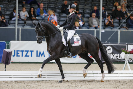 Dancier Gold FRH anlässlich der WM der jungen Dressurpferde unter Simone Pearce. | © Lafrentz