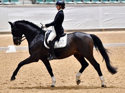 S*-Sieg für Lisa Grupen und Amazing Sugar | © (Archivbild) Dill