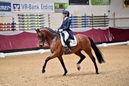 Feiner Siegesritt: Tatjana Schneider und Escolar's Eljano | © Dill