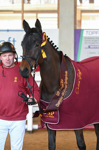 Siegerin der vierjährigen Springpferde: Carassina S v. Chinchero/Chigaru | © Fischer (frei)