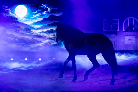 Die "Ostwind"-Liveshow geht bald in Regensburg weiter. | © Dill/Drexel/Presse