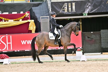 Lisa Müller und Gut Wettlkam's Dantiamo siegten im Grand Prix der CDI4*-Tour. | © Dill