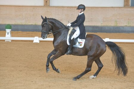 Sophia Mehringer-Ambros und ihr Wallach Dantino setzten sich in Satzbach an die Spritze. | © Dill (Archiv)