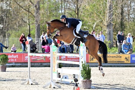 Flott und fehlerfrei: Maximilian Ertz und Diamond Blue | © Dill