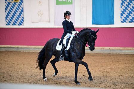 Souverän zum S***-Sieg getrabt: Johnson's und Svenja Holzmayr | © Dill