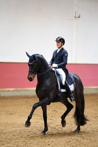 Fantastische Leistung: Romantic Prinz OLD und Rudolf Widmann | © Dill