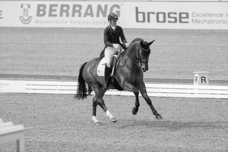 Fürst Ferdinand zur Fasanenhöhe und Renate Voglsang | © Lafrentz
