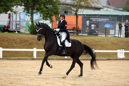 Sophia Scheld und ihre Secret Rose S konnten beide S-Dressuren in Altentrüdingen gewinnen. | © Dill (Archiv)