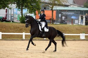 Sophia Scheld und ihre Secret Rose S konnten beide S-Dressuren in Altentrüdingen gewinnen. | © Dill (Archiv)