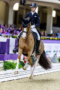 Benjamin Werndl und Quick Decision glänzten auch in der Grand Prix Kür von Fontainebleau. | © Lafrentz (Archiv)