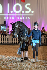 Venedig wechselte für 400.000 Euro den Besitzer. | © Fischer