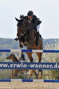 Die Sieger am Samstag: Maximilian Ziegler und Emmi | © Roman Altenhofer