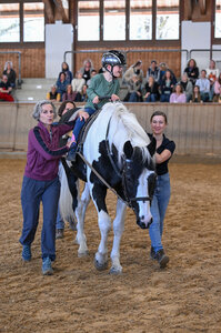 In der Praxisdemonstration unter der Leitung von Corinna Wagner und Christina Wagner wurde sichtbar, wie ein Kind mit Zerebralparese im interdisziplinären Therapieprozess mit dem Pferd begleitet wird – unterstützt von Gestütshengst Cotton Eye Joe. | © Hubert Fischer
