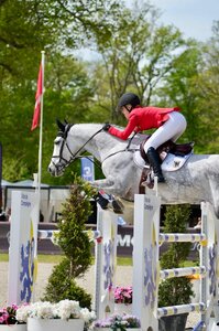Ava Ferch mit ihrer Stute Tendresse de la vie Z | © Sportfot