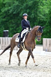 Lena Paul und Chopard trabten in Wackersberg zu einem S*-Sieg. | © Dill (Archiv)