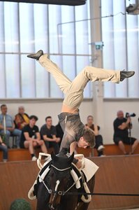 Dreamteam: Sebastian Renkl und Pferd Wildcard | © photohajdu