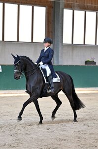 Dr. Stephanie Koch und Henriettenhof's Kenia trabten in Günzburg zum S-Sieg. | © Dill (Archiv)