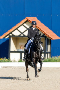 Benjamin Werndl und Forbury OLD platzierten sich in der Qualifikation zum Louisfor-Preis-Finale. | © Lafrentz