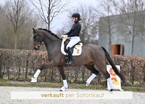 Kat.Nr. 5 – Dango Rubin  | © Björn Schröder