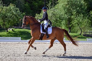 Aufgalopp zum S*-Sieg: Sophie Irl und Edelix | © Dill
