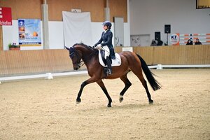 Sonja Sander und Belmondo´s Cadeau reiten am Sonntag zum Sieg | © Dill (Archiv)