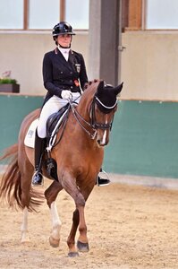 Josephine Ruppert befindet sich mit DSP Bella Donna beim Preis der Besten auf Medaillenkurs. | © Dill (Archiv)