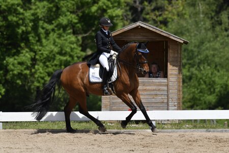 Im Galopp zum ersten S*-Sieg: Tatjana Ruoss und Amici Amicelli | © Altenhofer