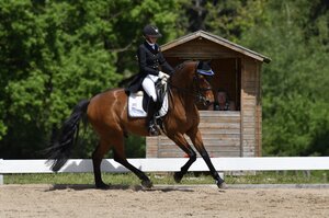 Im Galopp zum ersten S*-Sieg: Tatjana Ruoss und Amici Amicelli | © Altenhofer