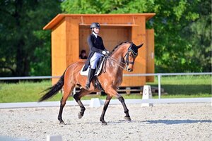 Julia Osterholzer und Frederico sind ein eingespieltes Team | © Dill (Archiv)