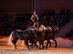 Viele Show-Höhepunkte gab es bei der Pferd Wels. | © Mikes Fotografie/Presse