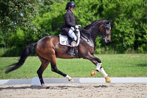 Andrea Dlugos und Fleur d’espoir in der Siegerehrung heute in Hambach | © Dill 