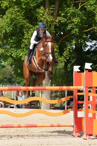 Siegreich: Stefanie Fraunholz und Peppone | © Dill