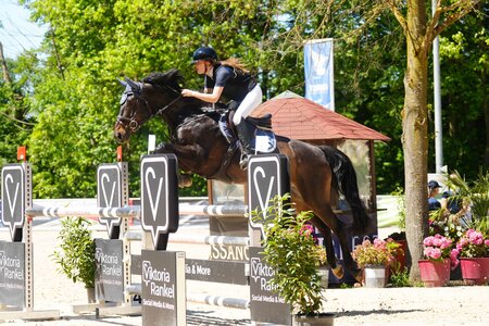 Charlotte Fink springt mit Stallone Gold in Königsbrunn zu ihrem ersten S-Sieg. | © Dill