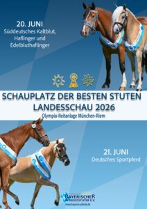 © Pferdezuchtverband Bayern