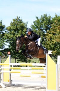Schnelle Nullrunde: Richard Gardner und Cromwell | © Dill