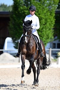 Nicole Casper und Birkhof's Zabalou galoppierten zum Sieg in der ersten S***-Dressur von Brunnthal. | © Dill