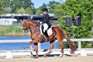 Tolle Runde: Constanze Rügheimer und Dublin gewannen den Grand Prix. | © Dill