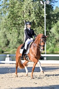 Stefanie Schatz-Weihermüller und Le Charmeur trabten in Görlitz zu zwei Dreisterne-Siegen. | © Dill 
