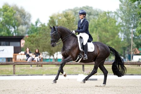 Jutta Borgmann und Sanrico galoppierten in Eicherloh zum Dreisterne-Sieg. | © Dill