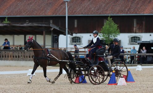 Besser geht nicht: Sophia Ihnen sichert sich heute in der Dressur Rang eins | © Herbert Rauser (Archiv)