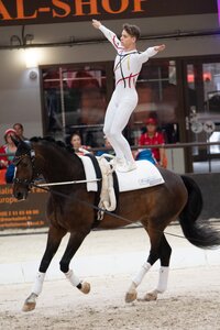 Sebastian Renkl beweist sich bei den Europameisterschaften in Le Mans  | © The Vaulting Review