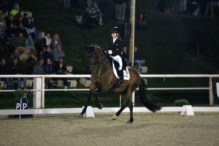Jana Lang und Baron siegen auch bei der dritten iWEST Dressur Cup Qualifikation auf dem Birkhof. | © D. Matthaes