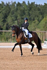 Nicole Grosch und Visser's Hit Valeria VEC OLD befinden sich aktuell in bestechender Form. | © Dill