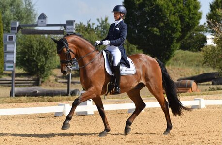 Stephanie Haag und Wallach Las Vegas reiten heute in Pliening zum Sieg | © Roman Altenhofer