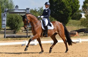 Stephanie Haag und Wallach Las Vegas reiten heute in Pliening zum Sieg | © Roman Altenhofer